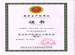 安全生產(chǎn)標(biāo)準(zhǔn)化三級企業(yè)