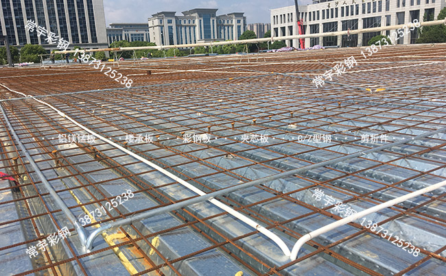 �_�ژǳа� m.bansheesportsbar.com